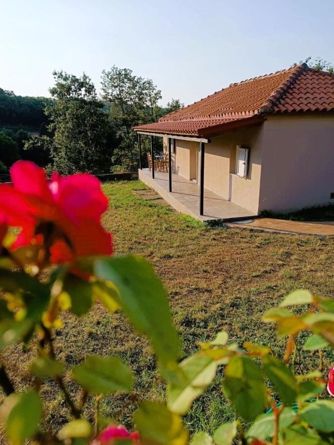 Billy'S House Villa Kalambaka Exterior foto